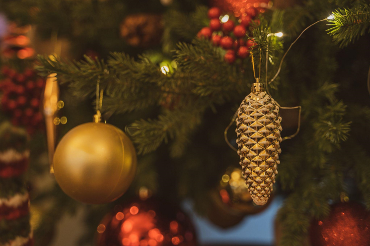 Natural Beauty of Christmas at a Photo Shoot Venue in Naples